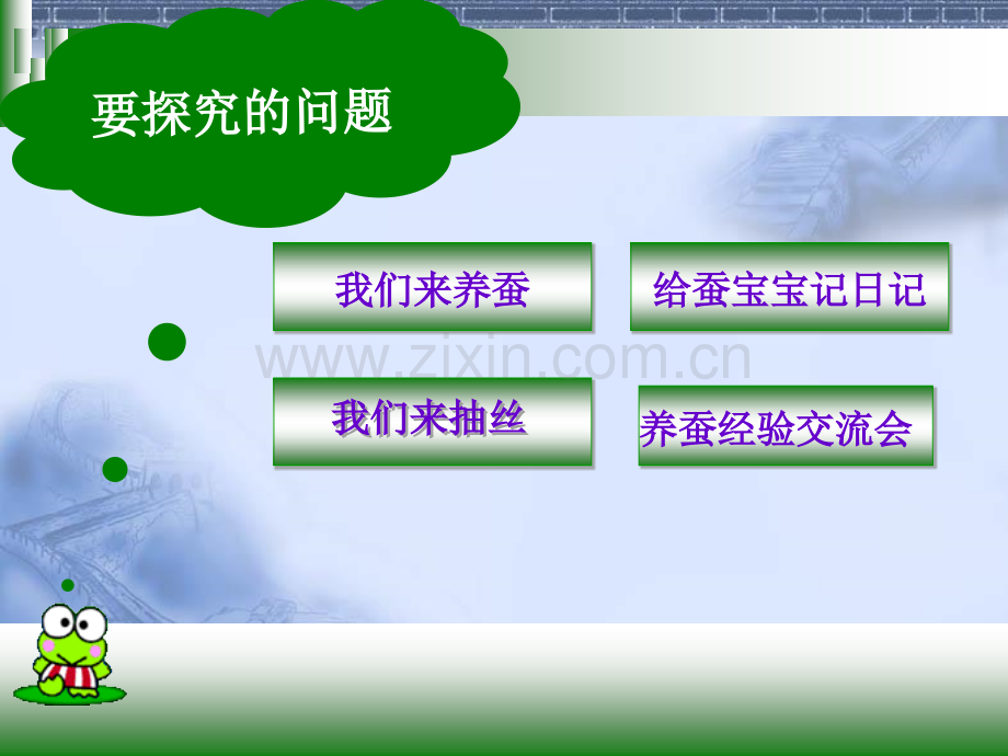 我们来养蚕.ppt_第2页