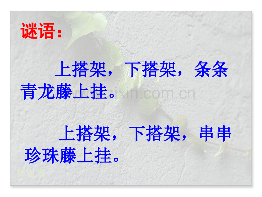 人教版小学语文四级上册《爬山虎脚》教学8.ppt_第2页