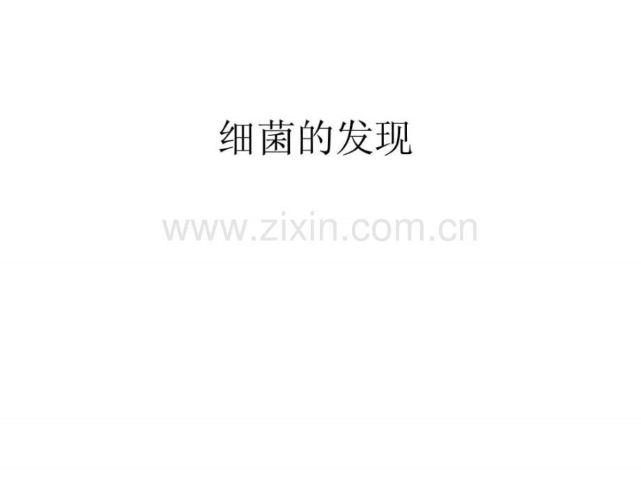 初中生物细菌.ppt_第2页
