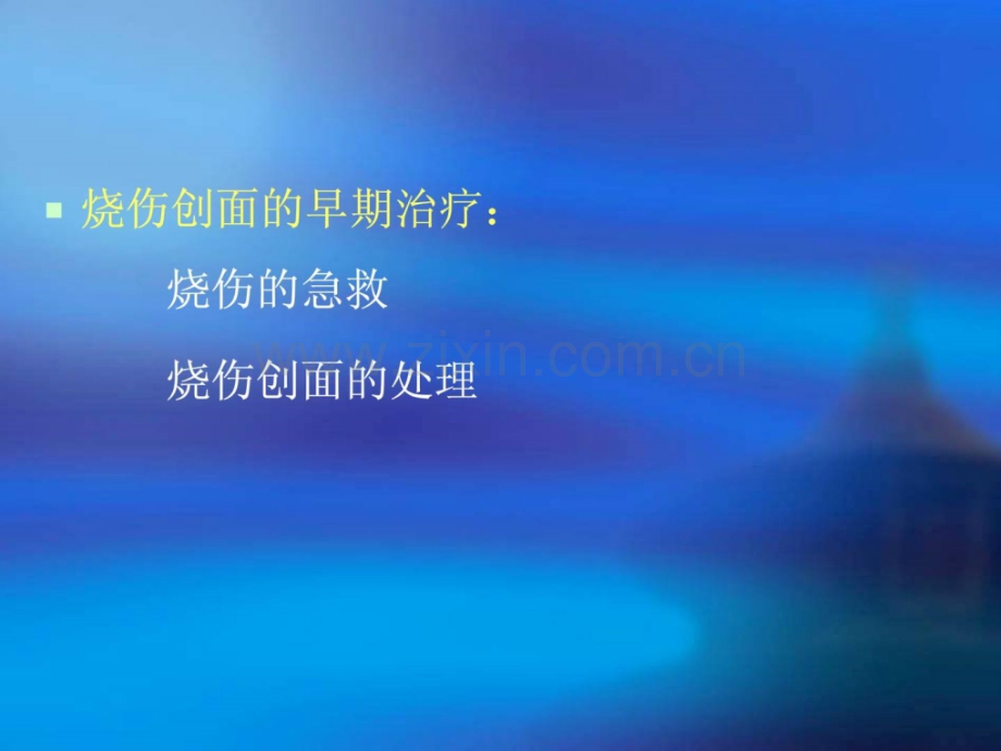 [指南]郓城天意堂-烧伤创面早期处理.ppt_第2页