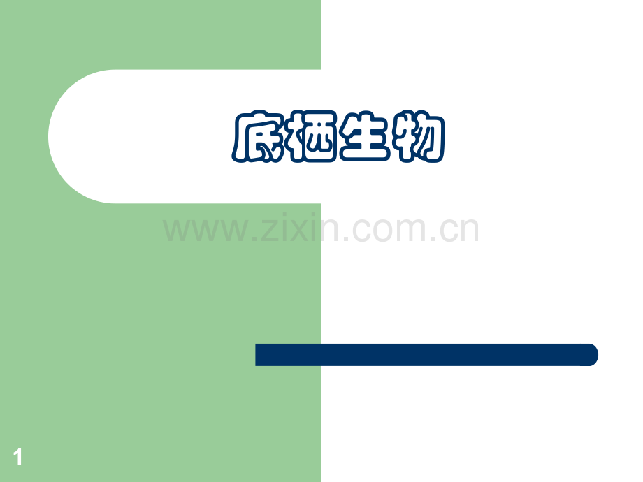 底栖生物.ppt_第1页