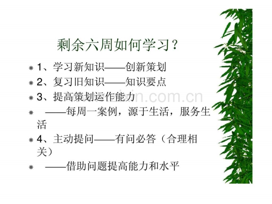 《市场营销策划》14.ppt_第2页