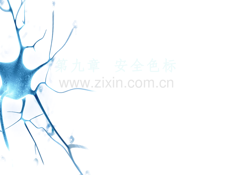 化工安全教育(第九章-安全色标).pptx_第1页