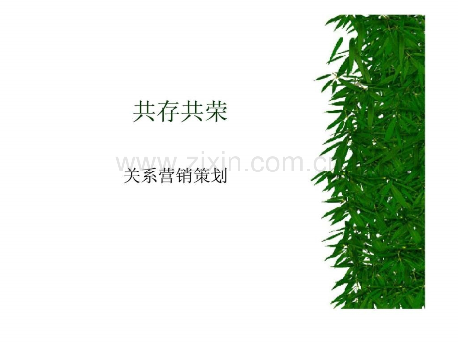 《市场营销策划》15.ppt_第2页