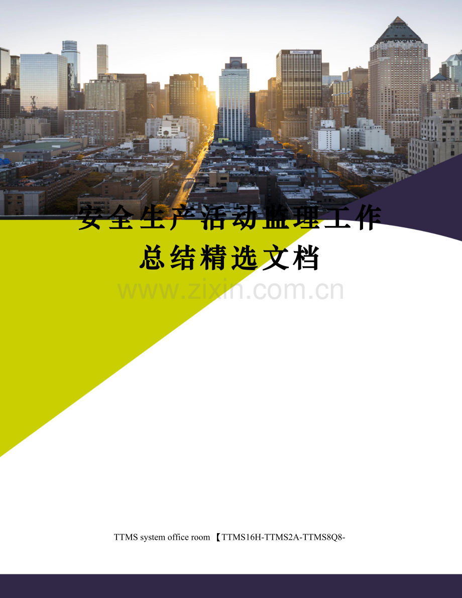 安全生产活动监理工作总结.docx_第1页