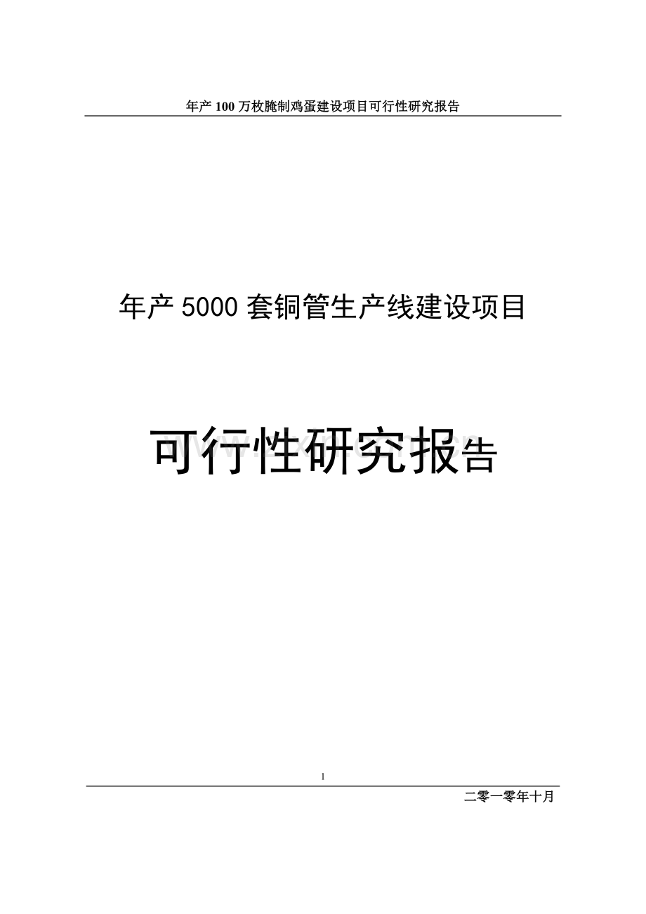 年产5000套铜管生产线项目可行性研究报告.doc_第1页