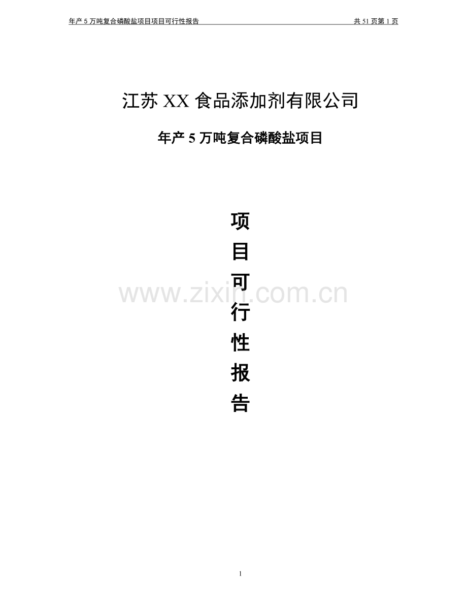年产5万吨复合磷酸盐项目可行性研究报告书.doc_第1页