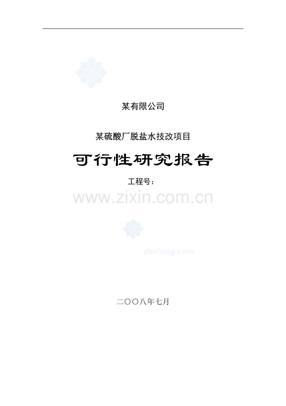 某硫酸厂脱盐水技改项目可行性研究报告.doc_第1页