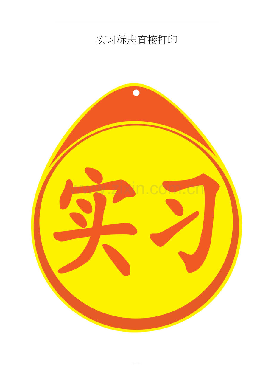 新手汽车实习标志(可打印).doc_第1页
