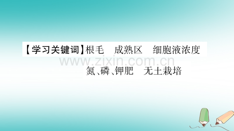 2018秋七年级生物上册-第三单元-第5章-第3节-吸收作用习题优质北师大版.ppt_第2页