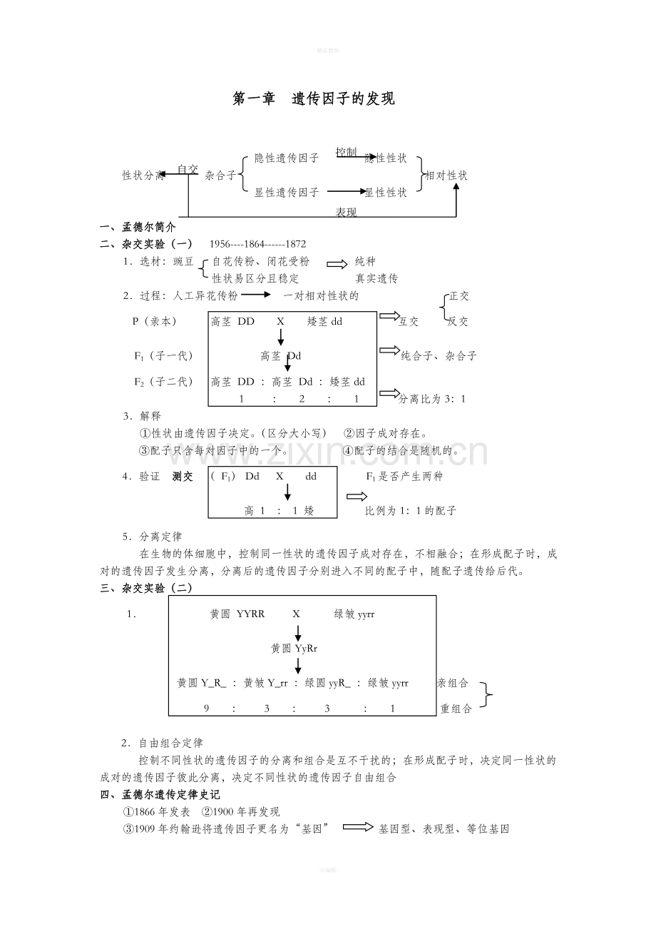高中生物必修2最详细笔记.doc_第2页