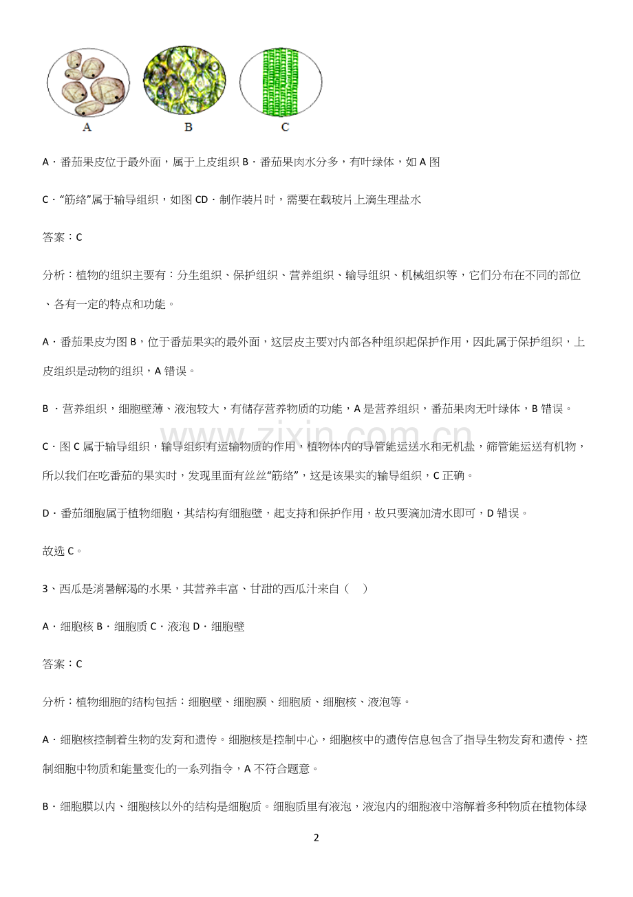 人教版2023初中生物七年级上册第二单元生物体的结构层次考点总结.docx_第2页