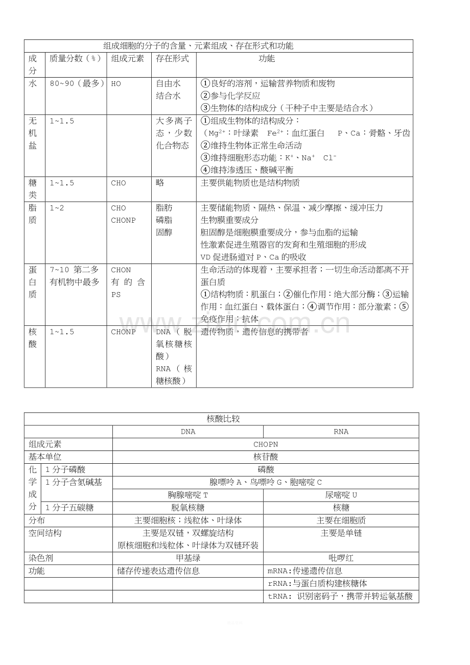 高中生物必修一知识点总结复习提纲非常全面清晰概念图.doc_第2页