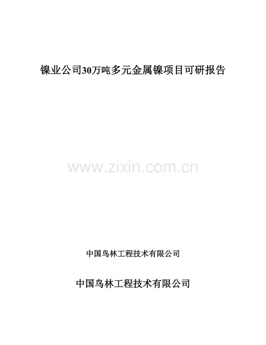 30万吨多元金属镍项目可行性研究报告.doc_第1页
