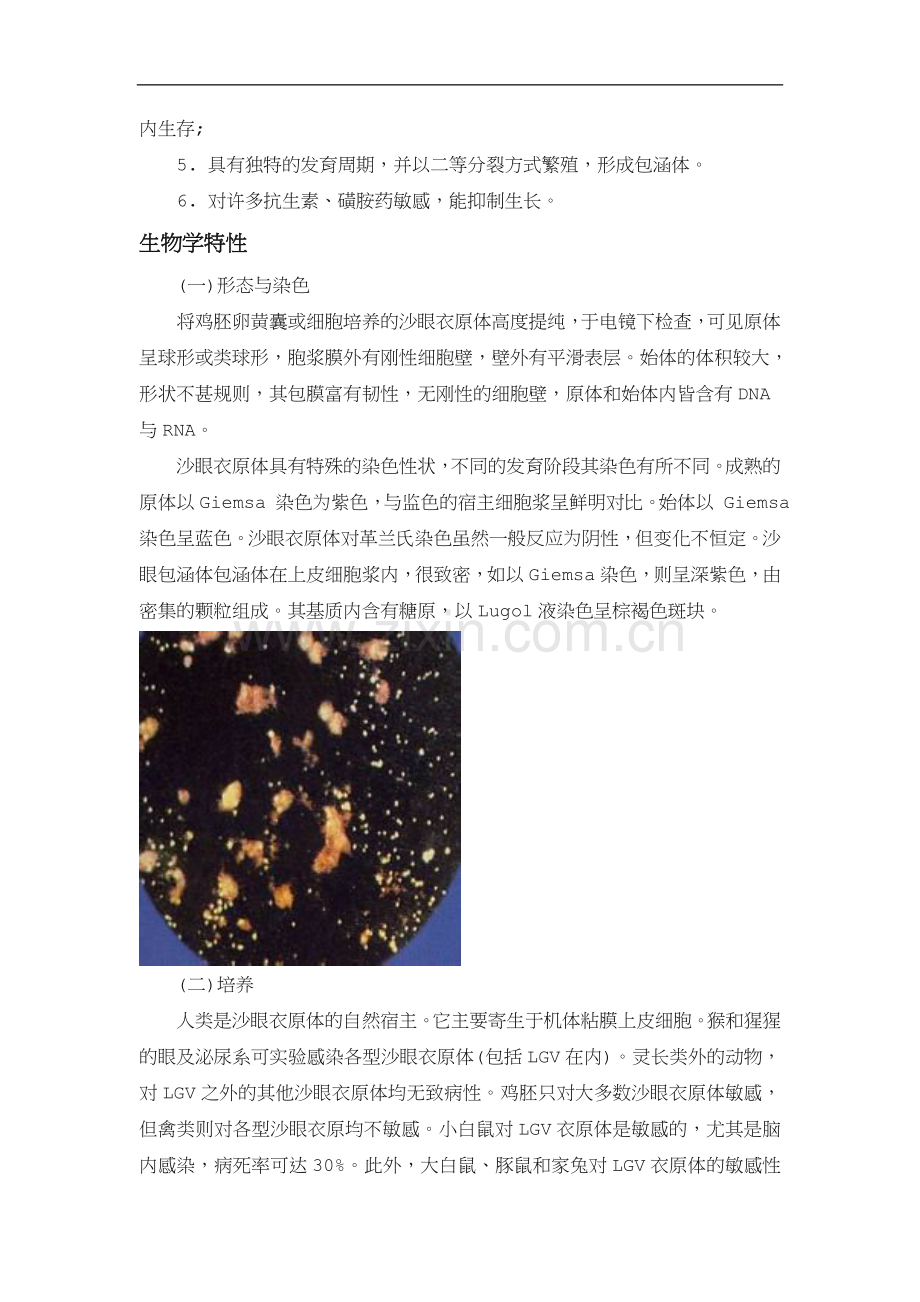 沙眼衣原体概述.doc_第2页