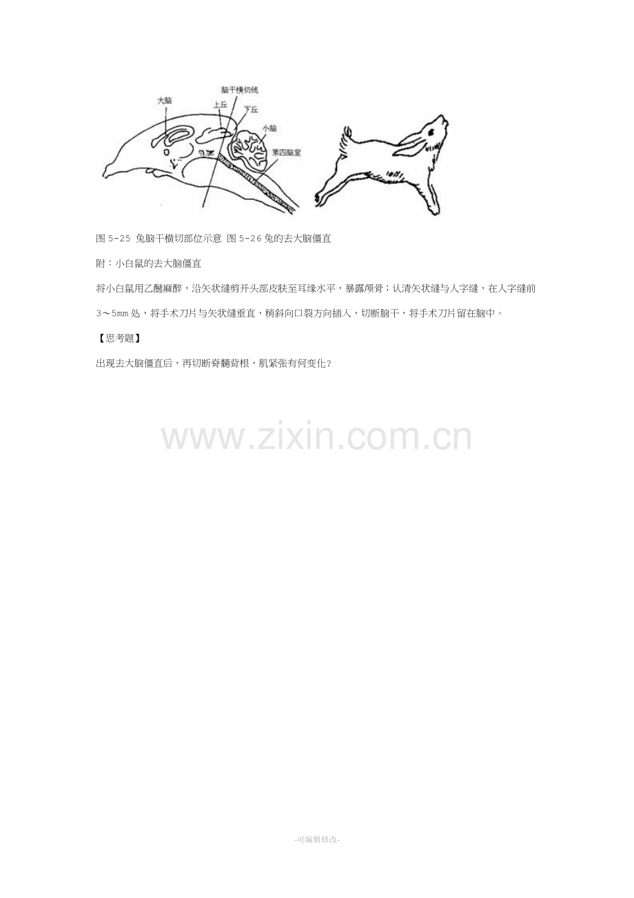 实验去大脑僵直.doc_第2页