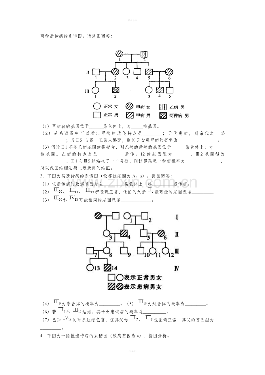 高中生物必修二遗传学.doc_第2页