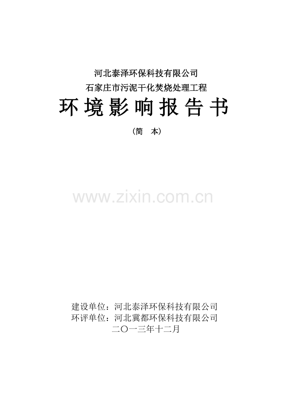 泰泽环保科技有限公司污泥干化焚烧处理工程申请立项环境影响评估报告书.doc_第1页