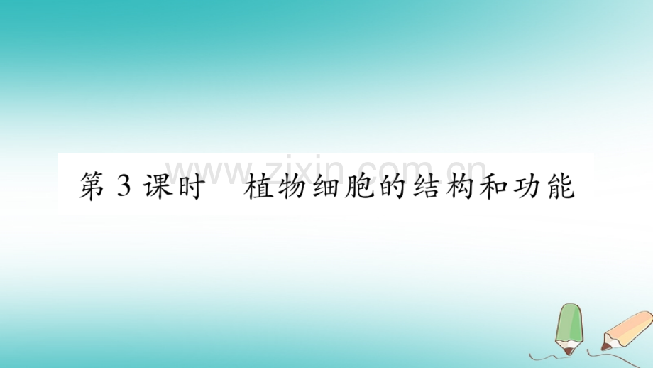 2018秋七年级生物上册-第二单元-第3章-第1节-细胞的基本结构和功能(第3课时)习题优质北师大版.ppt_第1页