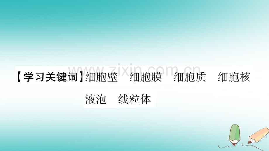 2018秋七年级生物上册-第二单元-第3章-第1节-细胞的基本结构和功能(第3课时)习题优质北师大版.ppt_第2页