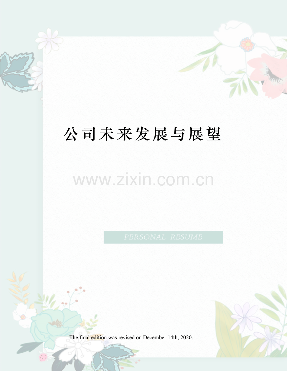 公司未来发展与展望.docx_第1页