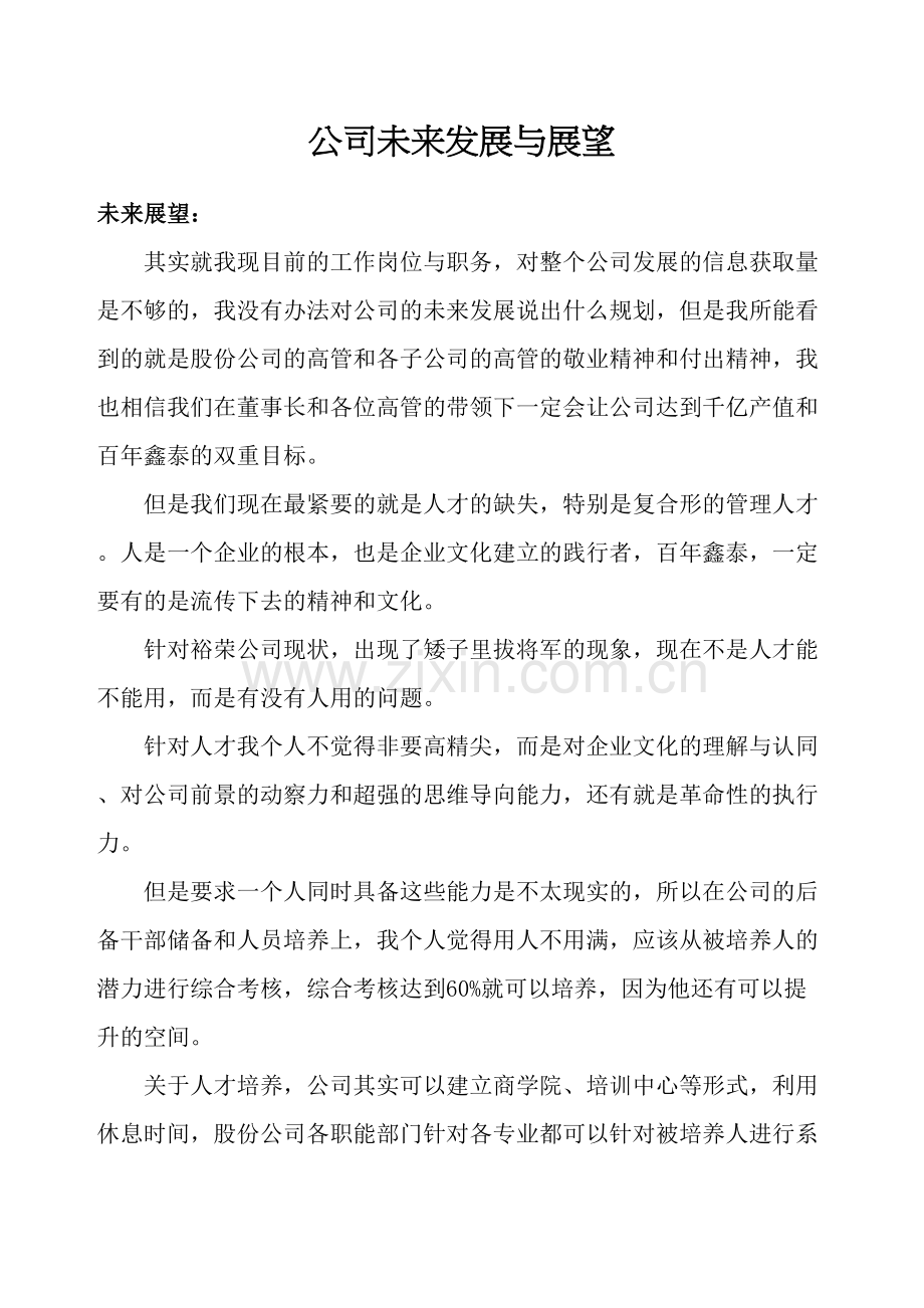 公司未来发展与展望.docx_第2页