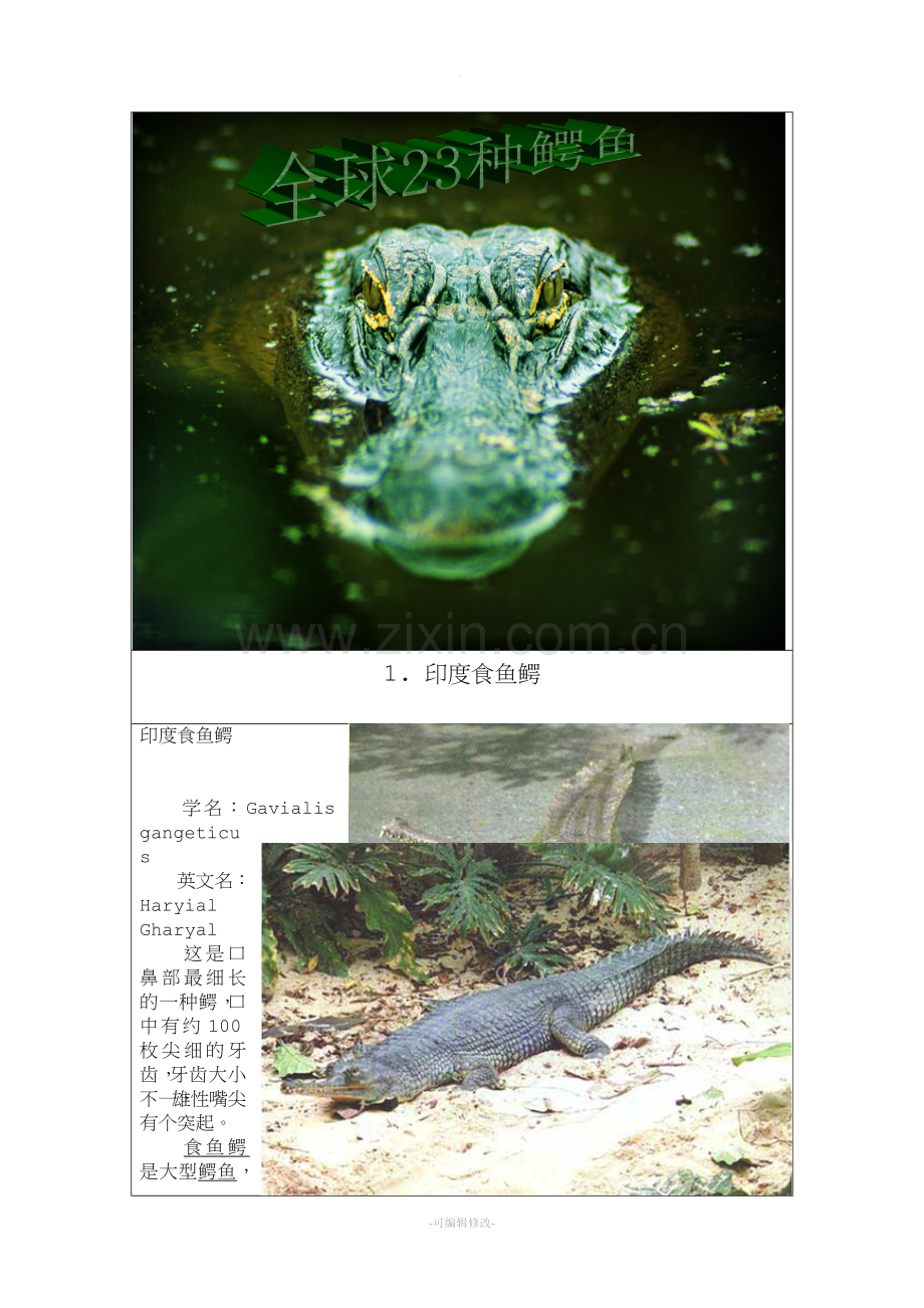 全球二十三种鳄鱼.doc_第1页