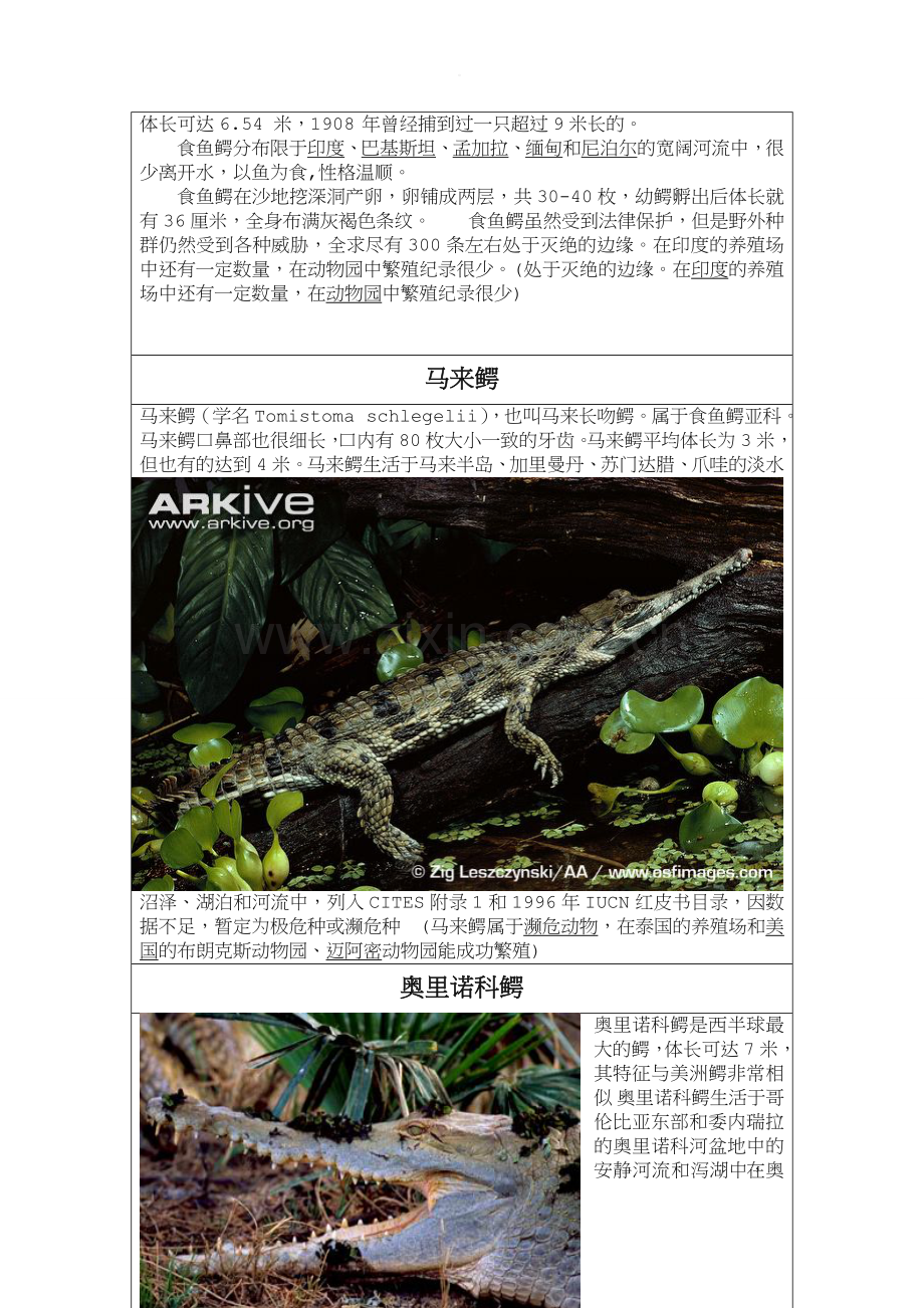 全球二十三种鳄鱼.doc_第2页