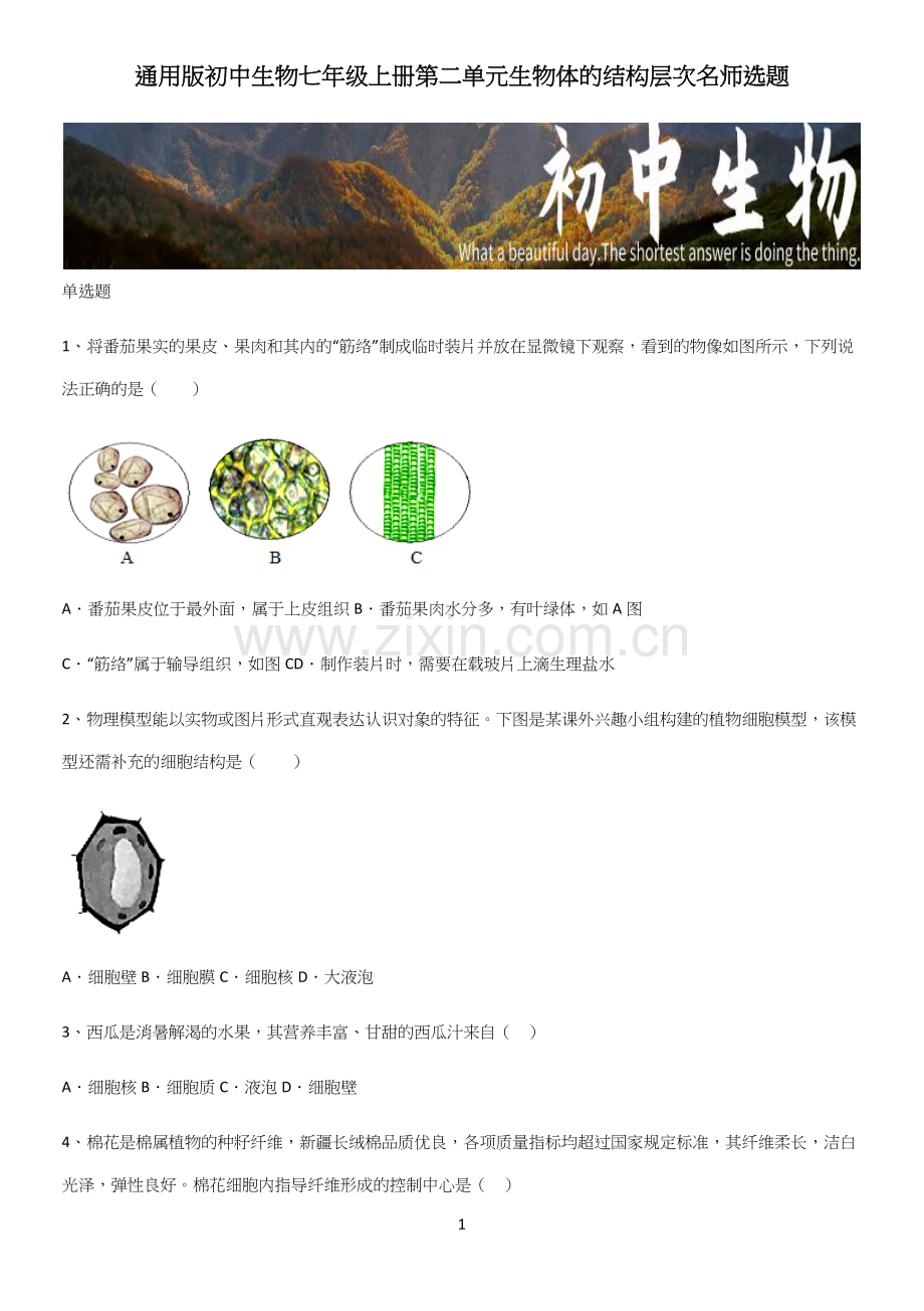 初中生物七年级上册第二单元生物体的结构层次名师选题.docx_第1页