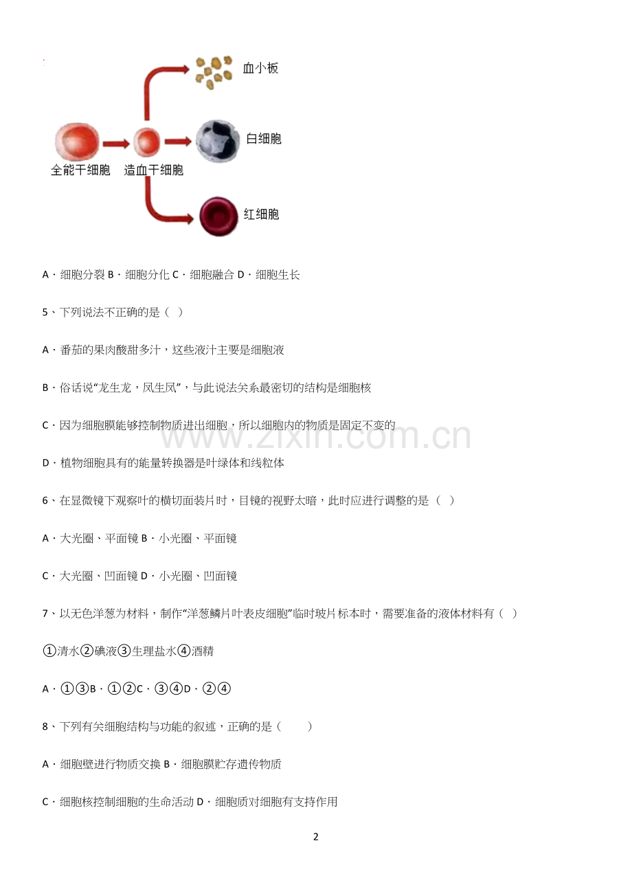 初中生物七年级上册第二单元生物体的结构层次总结(重点).docx_第2页