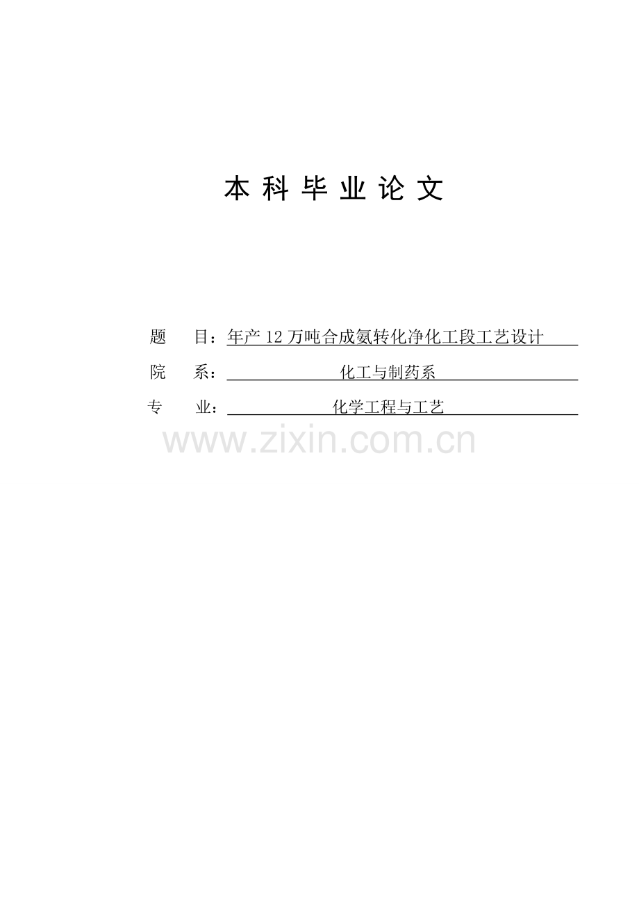 年产12万吨合成氨转化净化工段工艺设计-毕业论文.docx_第1页