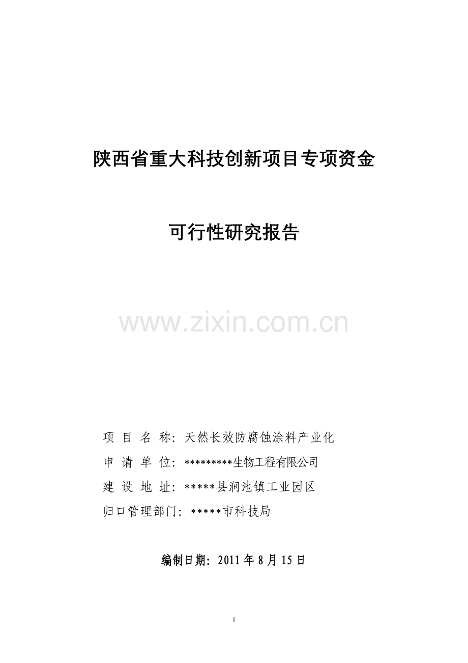 长效防锈涂料建设可行性研究.doc_第1页