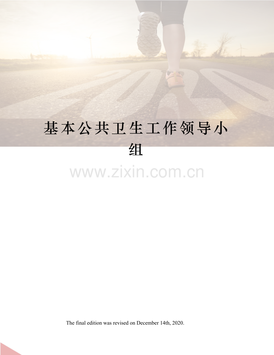 基本公共卫生工作领导小组.docx_第1页