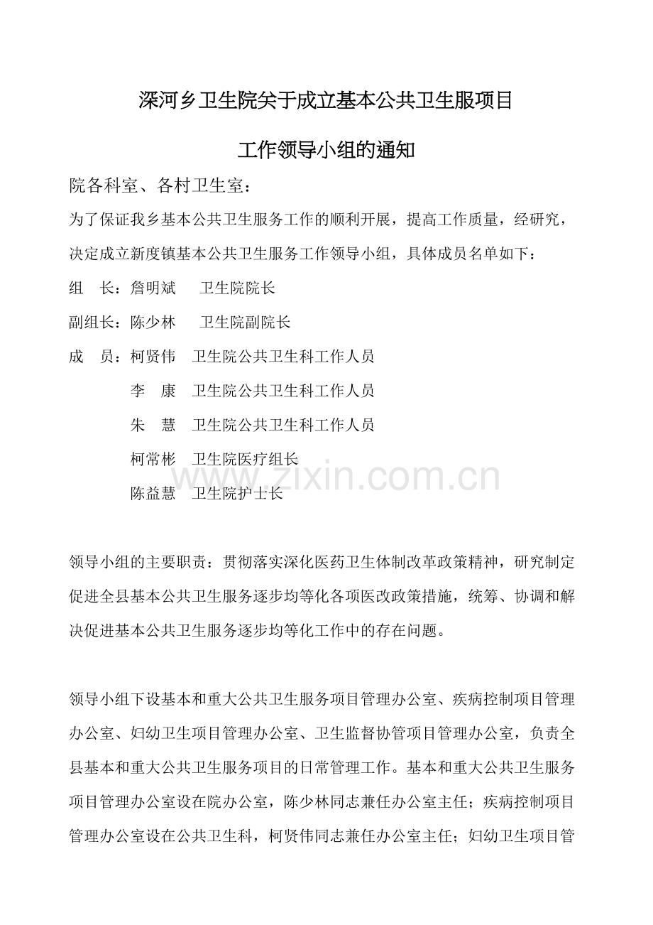 基本公共卫生工作领导小组.docx_第2页