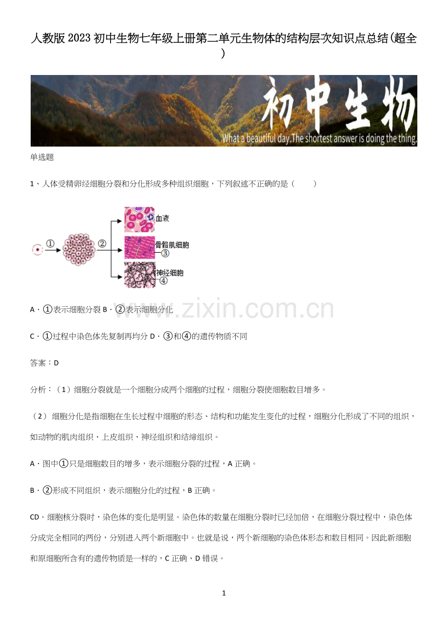 人教版2023初中生物七年级上册第二单元生物体的结构层次知识点总结.docx_第1页
