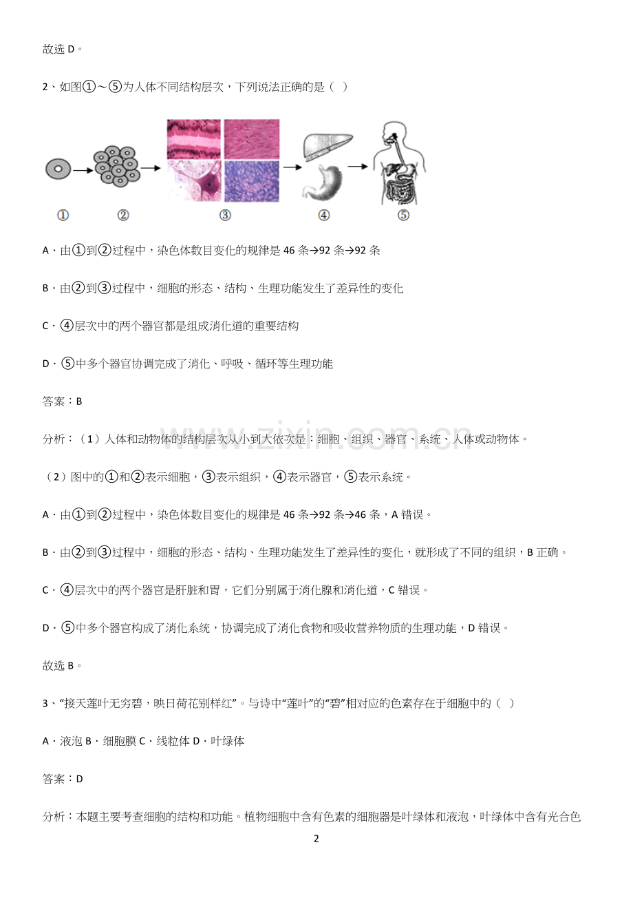 人教版2023初中生物七年级上册第二单元生物体的结构层次知识点总结.docx_第2页