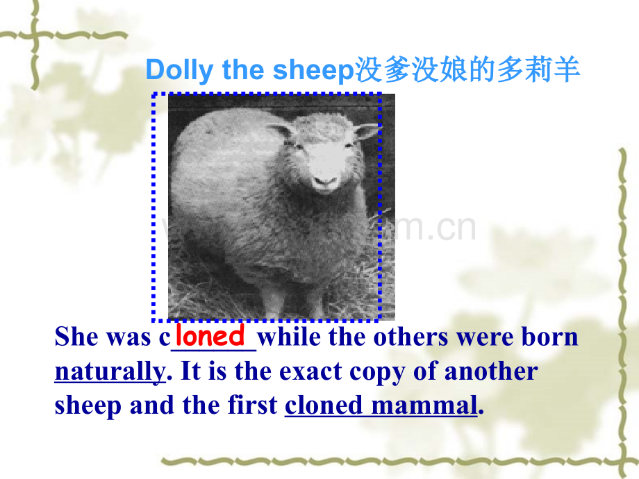 人教版选修8unit2cloning--reading(公开课课件).ppt_第2页