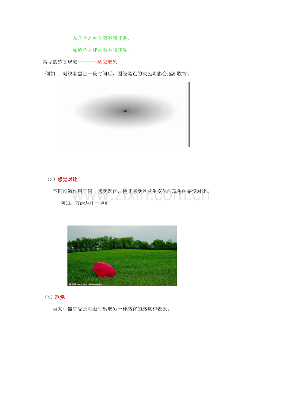 感觉和知觉.doc_第2页