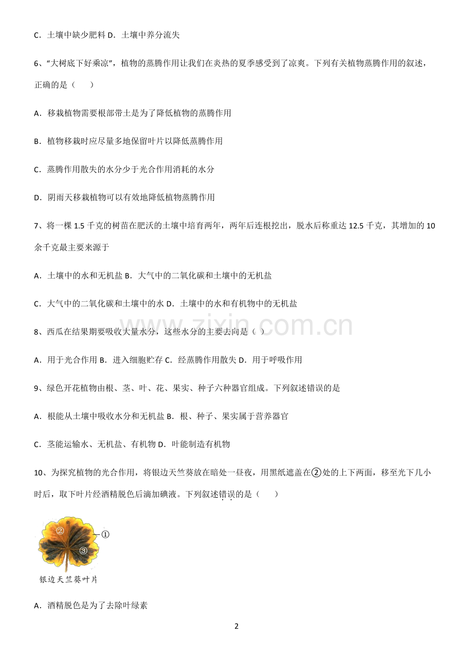 (文末附答案)人教版2022年初中生物生物圈中的绿色植物总结(重点).pdf_第2页