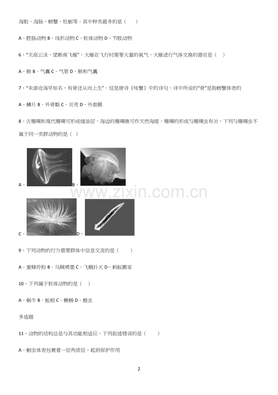 通用版初中生物八年级上册第五单元生物圈中的其他生物专项训练题.docx_第2页