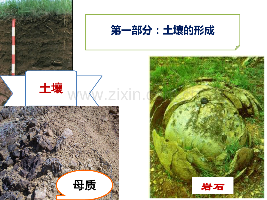 第4章我国主要土壤类型及改良.ppt_第2页