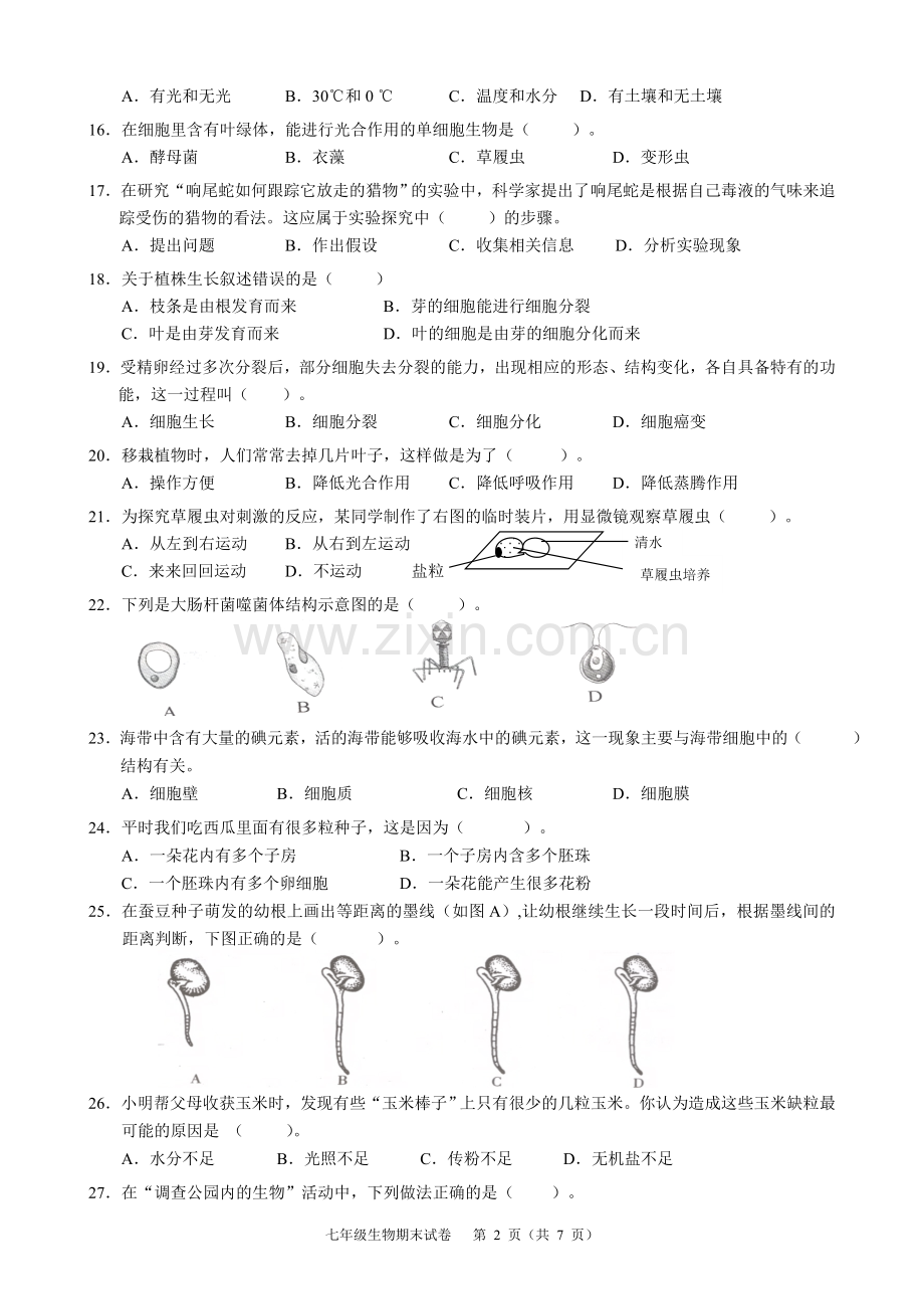 新人教版七年级生物上期末考试卷及答案.doc_第2页