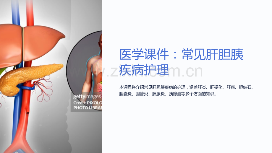 《医学课件：常见肝胆胰疾病护理》.ppt_第1页