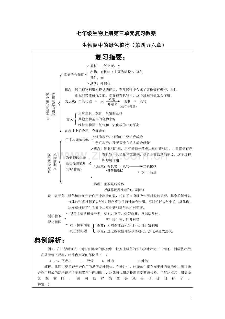 七年级生物上册第三单元四五六章.doc_第1页