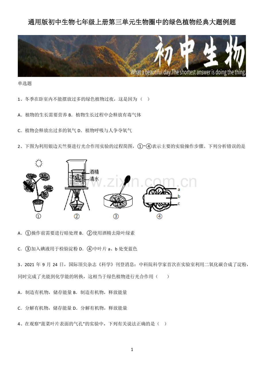 通用版初中生物七年级上册第三单元生物圈中的绿色植物经典大题例题.pdf_第1页