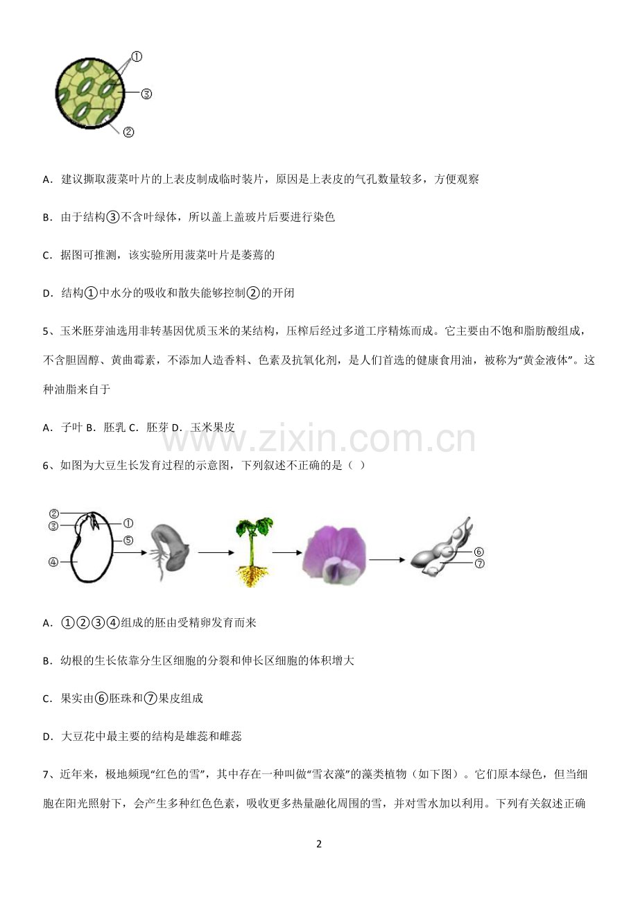 通用版初中生物七年级上册第三单元生物圈中的绿色植物经典大题例题.pdf_第2页