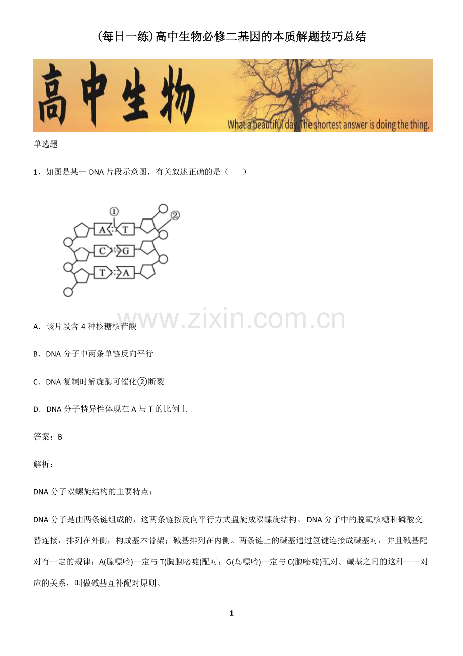 高中生物必修二基因的本质解题技巧总结.pdf_第1页