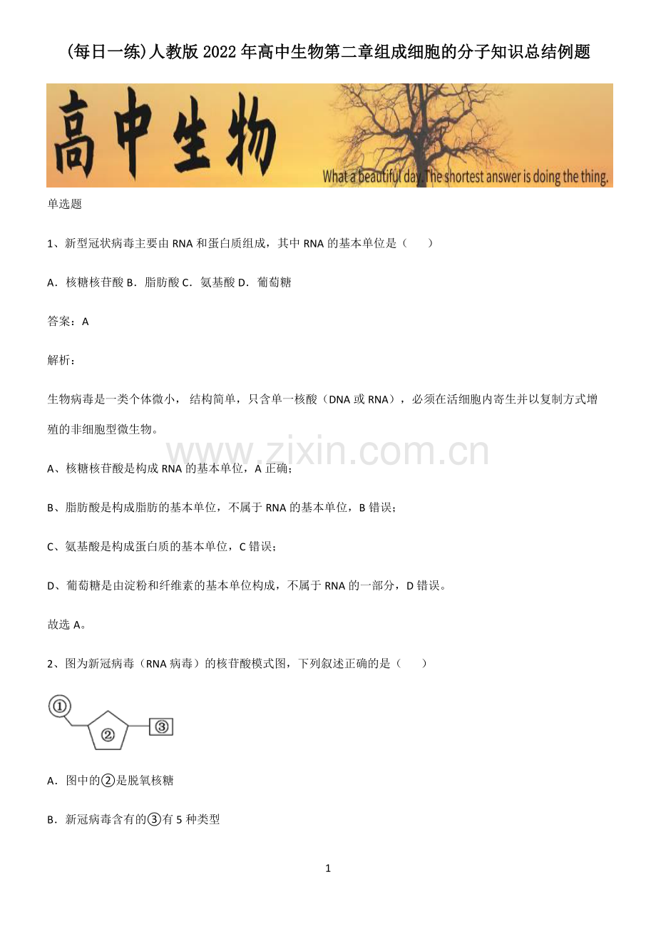 人教版2022年高中生物第二章组成细胞的分子知识总结例题.pdf_第1页