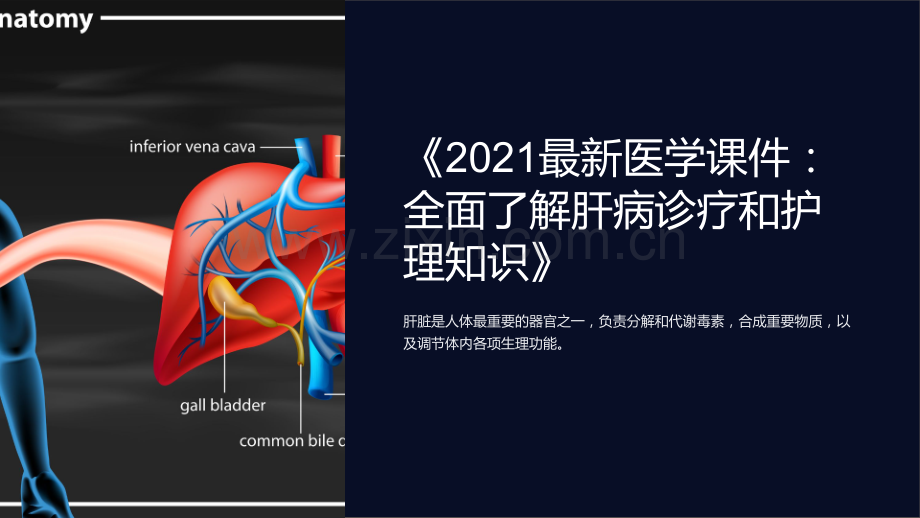 《2021医学课件：全面了解肝病诊疗和护理知识》.ppt_第1页