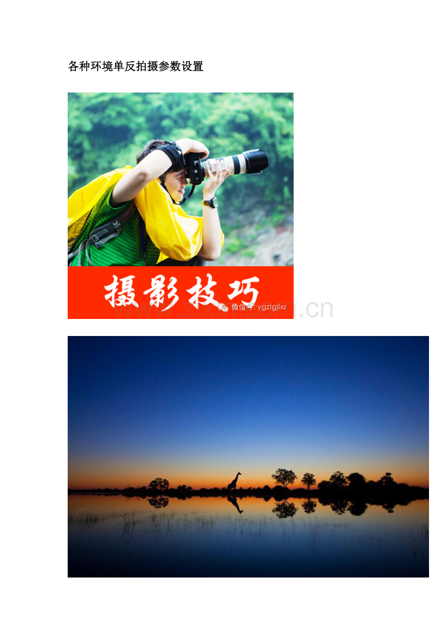 -各种环境单反拍摄参数如何设置.doc_第1页